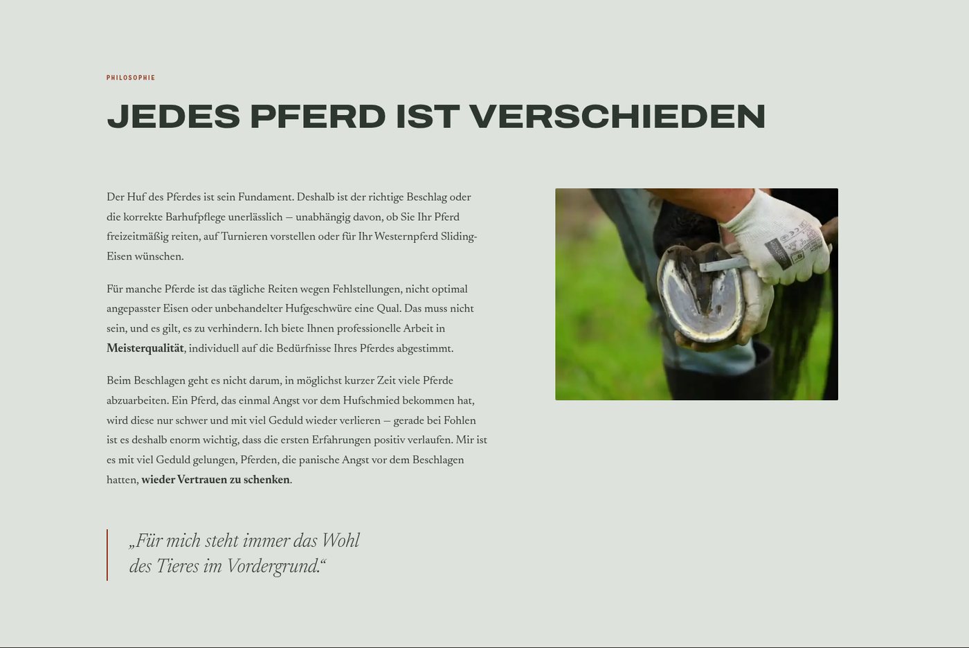 Abschnitt „Jedes Pferd ist verschieden“ mit Text und Zitat auf hellem Grund