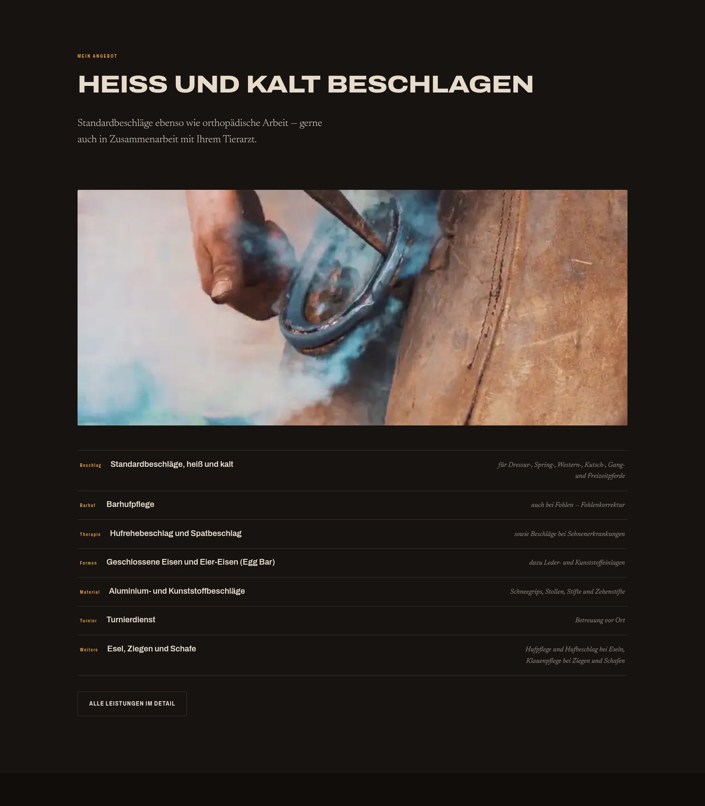 Leistungsübersicht als Tabelle mit Kategorien und Erklärungen auf dunklem Grund